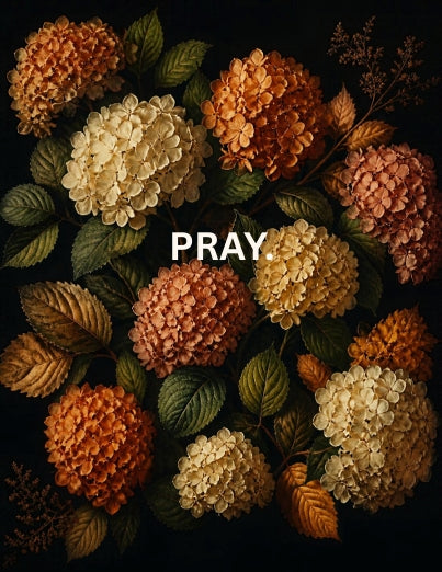 The Faith & Study Journal
